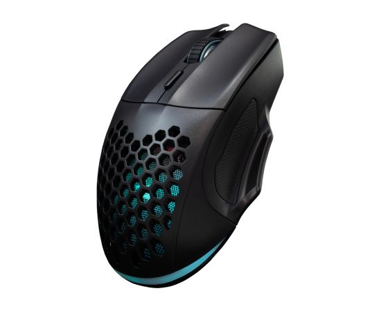 Baracuda BGM-101 Penguin Black