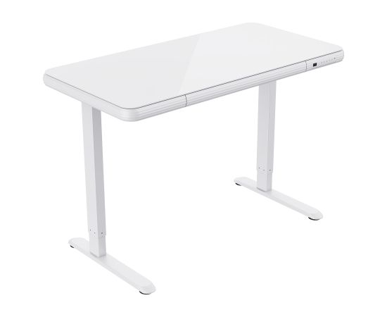 Desk ERGO FIT with 1 motor 122x62xH73,5-118cm, white
