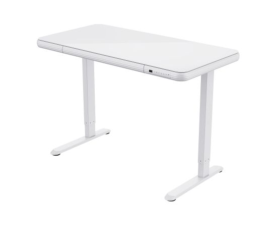 Desk ERGO FIT with 1 motor 122x62xH73,5-118cm, white