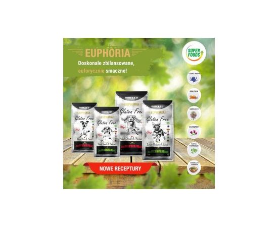 BIOFEED Euphoria Gluten Free Junior medium & large Lamb - dry dog food - 2kg