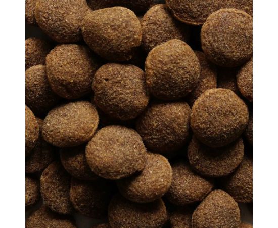 BIOFEED Nasz Pies medium & large Beef - dry dog food - 15kg