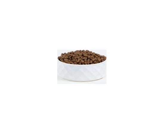 BULT Salmon with trout - dry dog food - 12kg