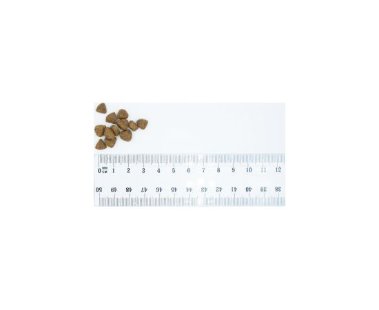 BULT Duck and Turkey Puppy - dry dog food - 12kg