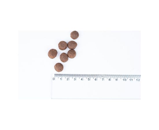 BULT Turkey - dry dog food - 3kg