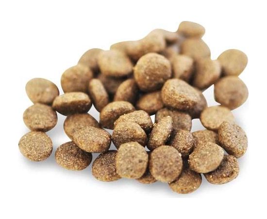 FISH4DOGS Superior Senior S Salmon - dry dog food - 1,5kg