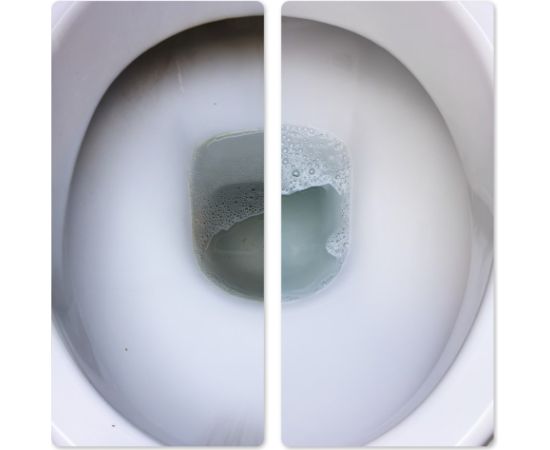 Frischer toilet cleaner 1l