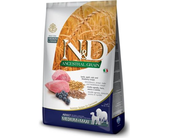FARMINA N&D Ancestral Grain Lamb & Blueberry Adult Medium & Maxi dry dog food - 12 kg