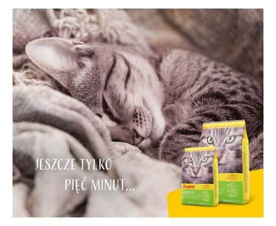 Josera 9510 cats dry food Adult Poultry,Rice 10 kg