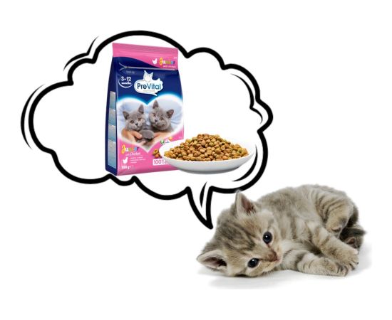 PREVITAL Junior Chicken - dry cat food - 950g