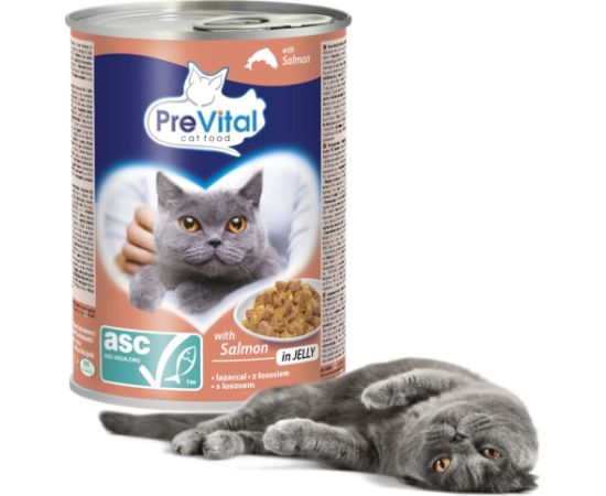PREVITAL Cat Food with ASC salmon in jelly - wet food for cats - 415g