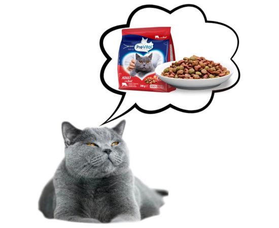 PREVITAL Adult Beef  - dry cat food - 300g