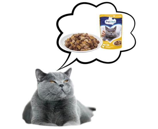 PREVITAL Chicken in jelly - wet cat food - 100g
