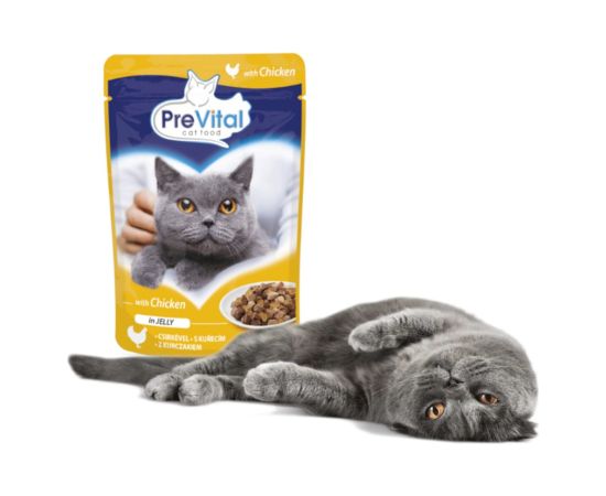 PREVITAL Chicken in jelly - wet cat food - 100g