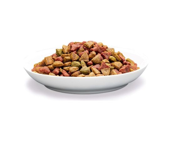 PREVITAL Senior Salmon - dry cat food - 1,4kg
