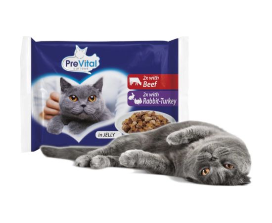 PREVITAL Beef and turkey in gravy - wet cat food - 4 x 100g
