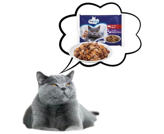 PREVITAL Beef and turkey in gravy - wet cat food - 4 x 100g