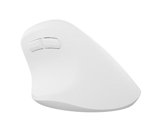 NATEC Crake 2 mouse Universal Right-hand RF Wireless + Bluetooth Optical 2400 DPI