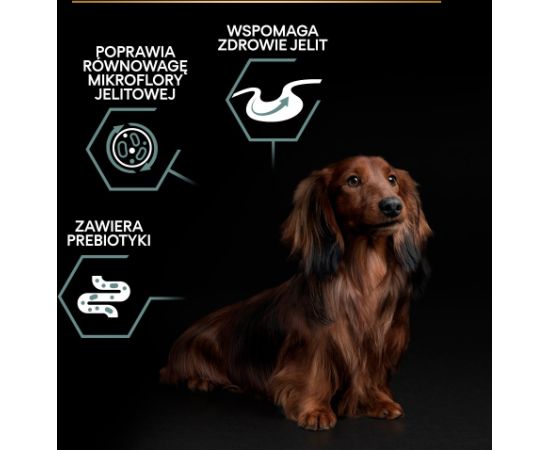 PURINA Pro Plan Sensitive Digestion Small & Mini Adult Lamb - dry dog food - 700g
