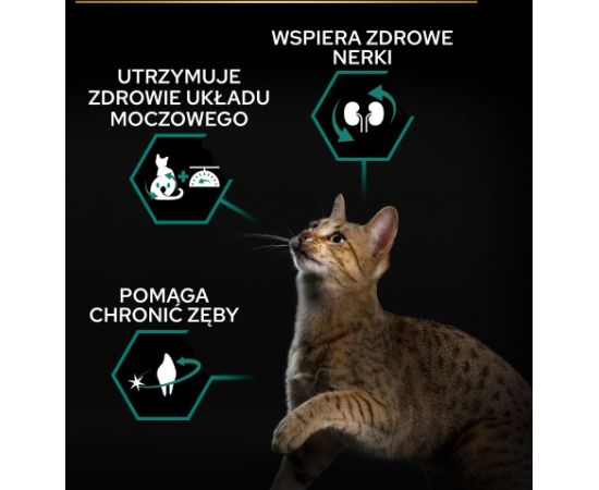 PURINA Pro Plan Sterilised Renal Turkey - dry cat food - 400g