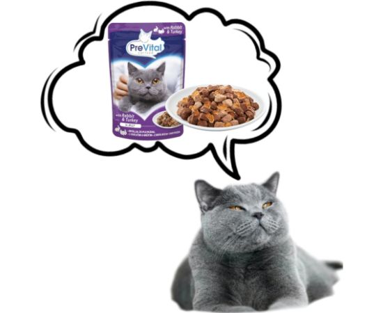 PREVITAL Turkey and rabbit in jelly - wet cat food - 100g