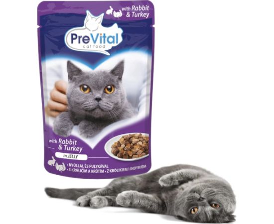 PREVITAL Turkey and rabbit in jelly - wet cat food - 100g