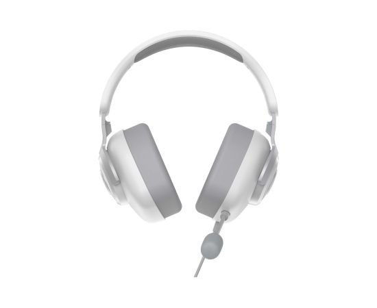 Havit H2230D Gaming Kulaklık Siyah Headset Wired & Wireless In-ear