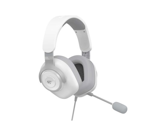 Havit H2230D Gaming Kulaklık Siyah Headset Wired & Wireless In-ear