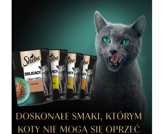 SHEBA Delicacy Poultry Flavours in jelly - wet cat food - 80x 85 g
