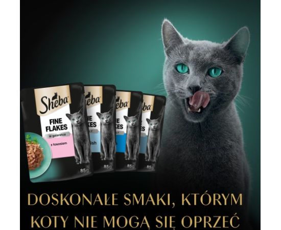 SHEBA Delicacy Fishy Flavours in jelly - wet cat food - 80x 85g