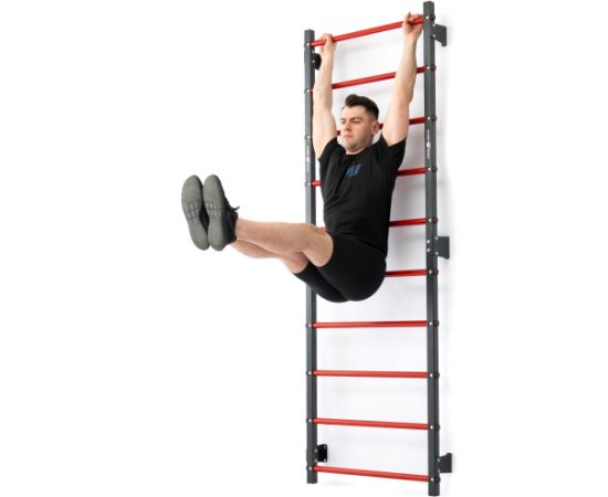 Metāla vingrošanas siena 230 x 81 cm MH-U204 - Marbo Sport