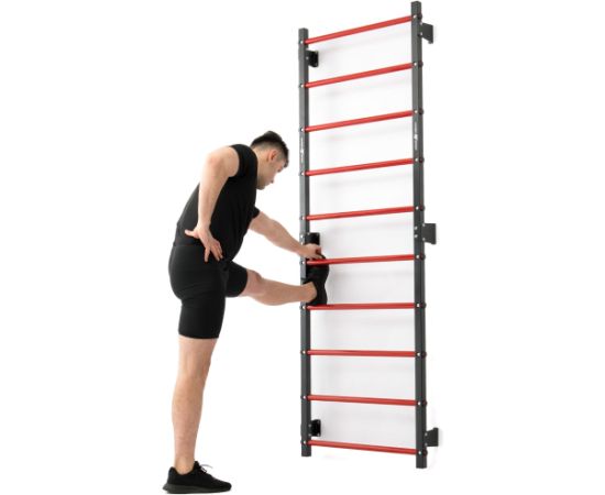 Metāla vingrošanas siena 230 x 81 cm MH-U204 - Marbo Sport