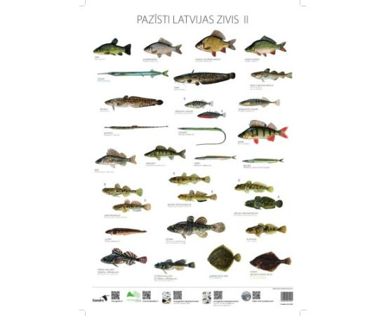 Gandrs Pazīsti Latvijas zivis II