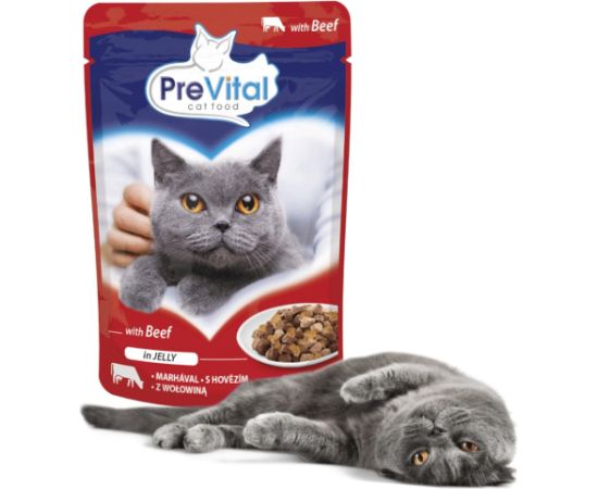 PREVITAL Beef in jelly - wet cat food - 100g