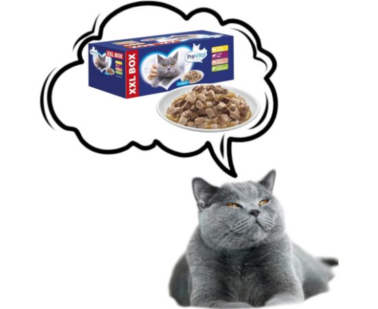 PREVITAL XXL BOX Flavor Mix with Chicken, Veal, Salmon, and Liver in Gravy - Wet Cat Food - 48 x 100g