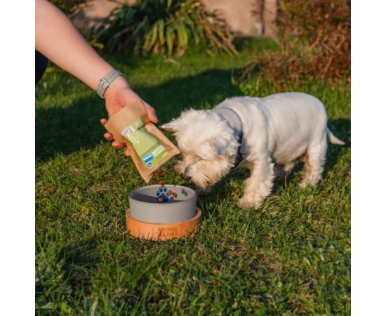 ANIMAL ISLAND Adult Medium Salmon - dry dog food - 12kg