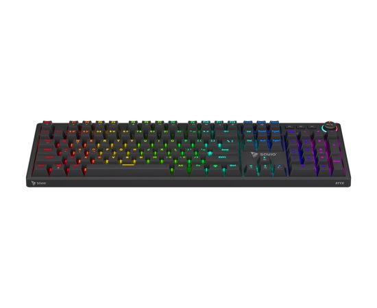 SAVIO STYX Mechanical Keyboard Outemu Brown, Hot Swap, RGB