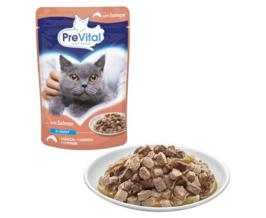 PREVITAL Salmon in gravy - wet cat food - 100g