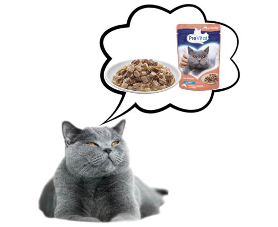 PREVITAL Salmon in gravy - wet cat food - 100g