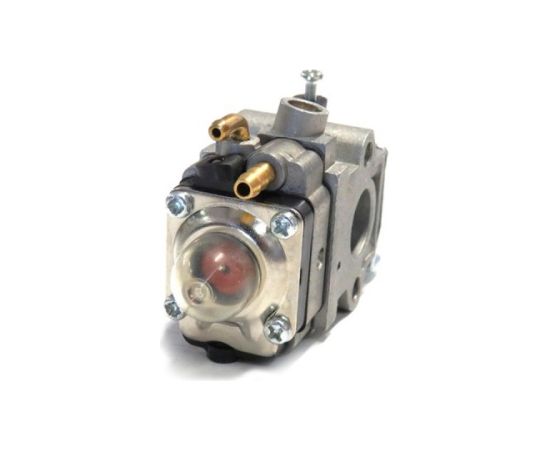 CARBURETOR ASSY
, Echo