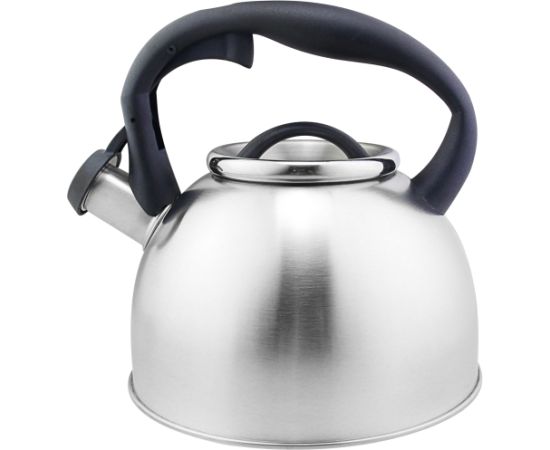 Floria ZLN1269 Чайник со свистком 3L