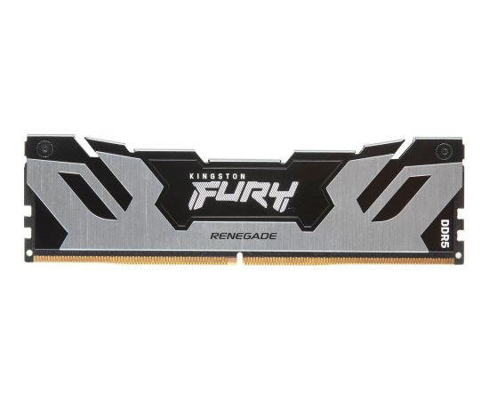 Kingston FURY DDR5 - 48GB - 6000 - CL - 32, Single RAM (silver/black, KF560C32RS-48, Renegade, INTEL XMP)