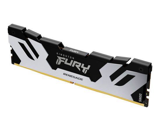 Kingston FURY DDR5 - 48GB - 6000 - CL - 32, Single RAM (silver/black, KF560C32RS-48, Renegade, INTEL XMP)