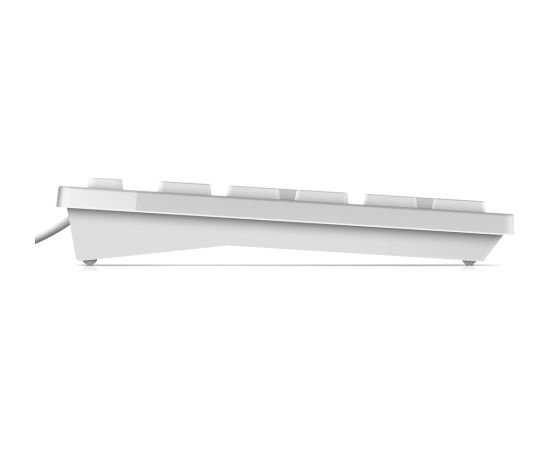 DELL KB216 keyboard USB QWERTY US International White