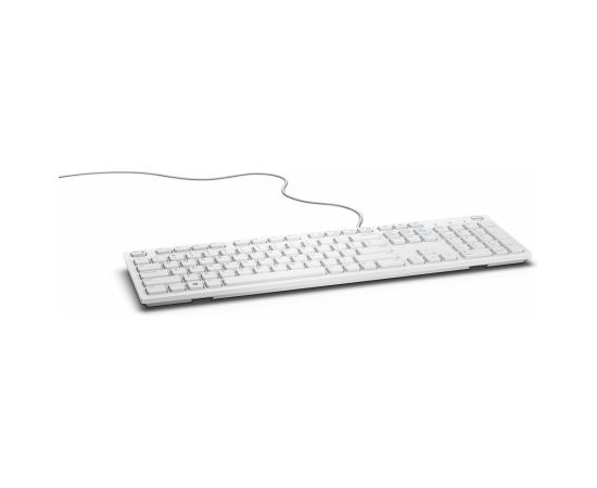 DELL KB216 keyboard USB QWERTY US International White