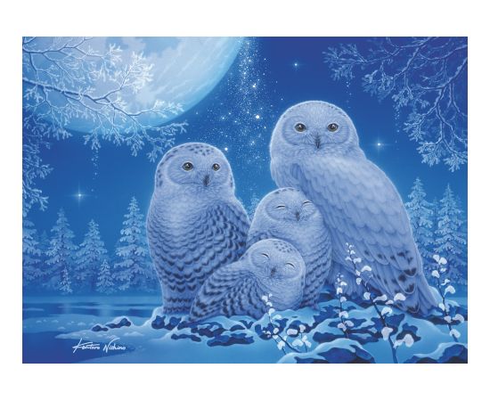 Ravensburger Glow In The Dark Puzzle 500 Pieces: Owls In The Moonlight