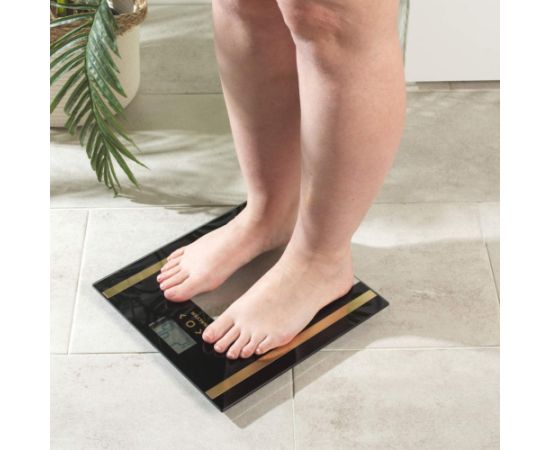 Salter SA00550BGCFAS Glass Analyser Bathroom Scale Black/Gold