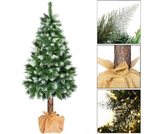 Dimanta egle uz stumbra Springos CT0110 160cm