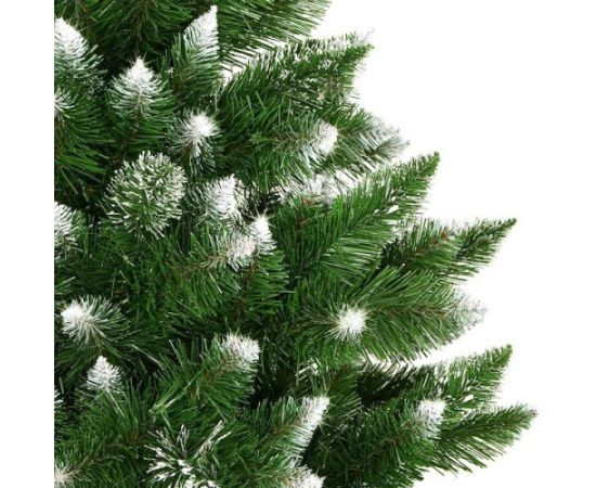 Dimanta egle uz stumbra Springos CT0110 160cm