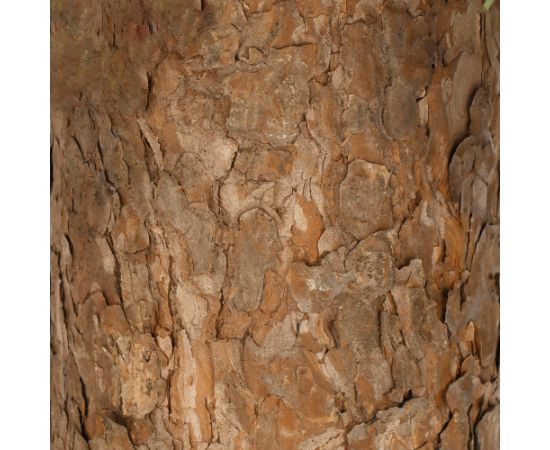 Mini ziemassvēku elge Springos  CT0140 90cm
