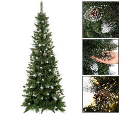 Ziemassvētku egle Springos CT0134 180cm